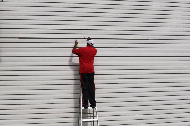 Best Aluminum Siding Installation  in Biltmore, TN