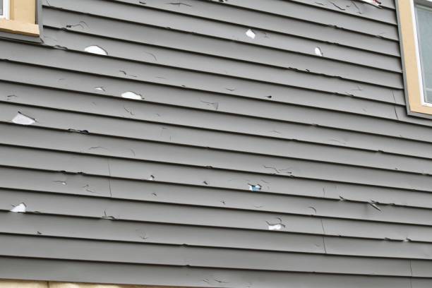 Best Steel Siding Installation  in Biltmore, TN